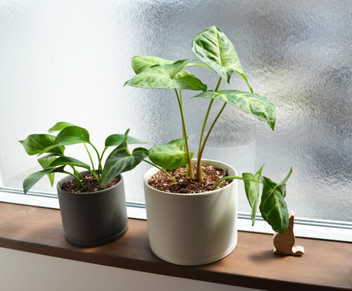 kinto-plant-pot6